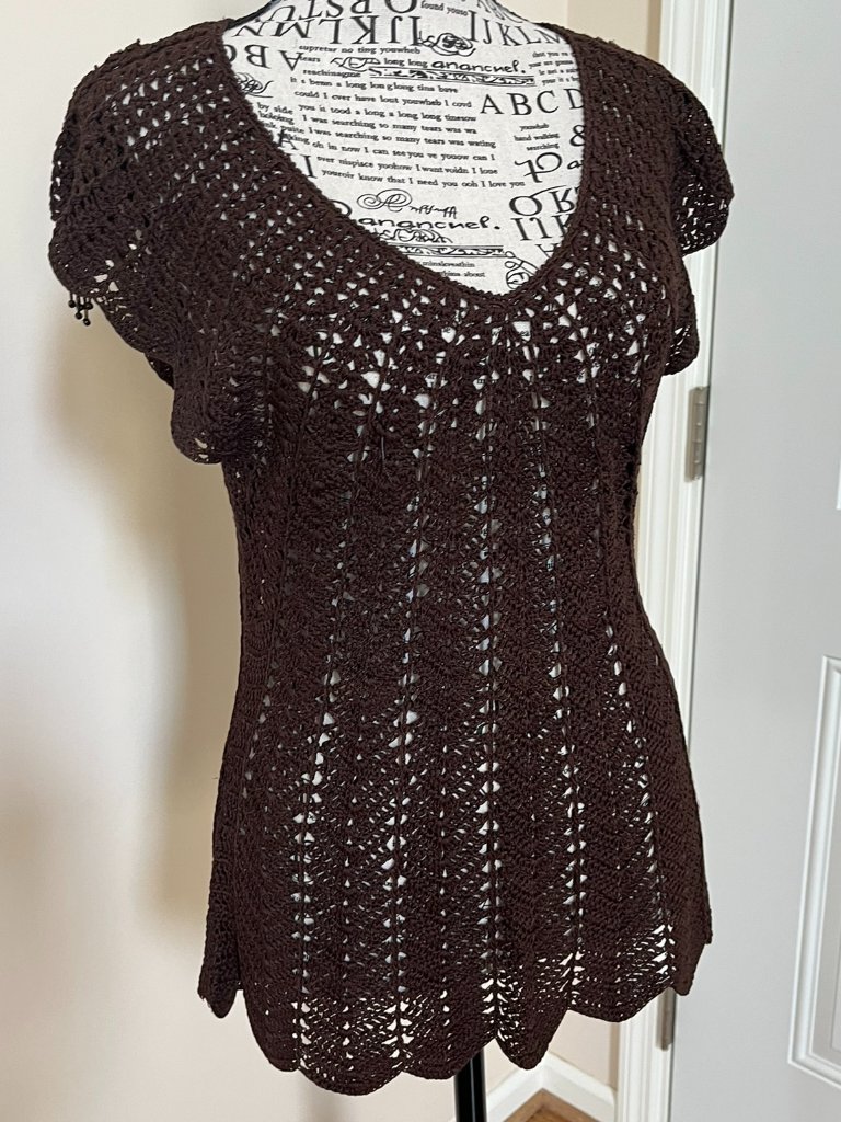 The Limited Brown Crochet V-Neck Top, Size S — image 5 of 8